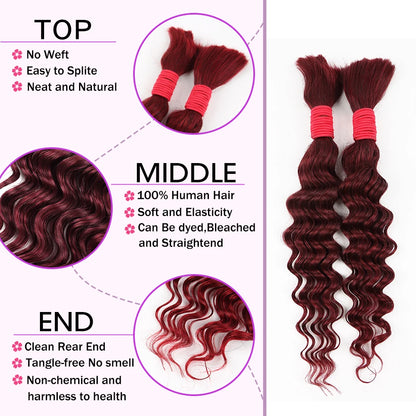 22Inch 100% Human Hair Bundle No Weft Deep Wave Curly Brazilian Virgin Hair for Boho Braid Burgundy 1 2 3 Bundles Hair for Women