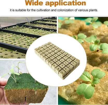 500/50Pcs Planting Cubes Sponge Wool Starter Plugs Hydroponic Grow Media Cubes Seedling Grow Block Greenhouse Garden Supplies