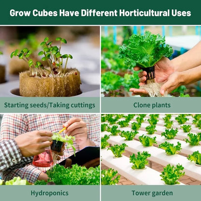 500/50Pcs Planting Cubes Sponge Wool Starter Plugs Hydroponic Grow Media Cubes Seedling Grow Block Greenhouse Garden Supplies