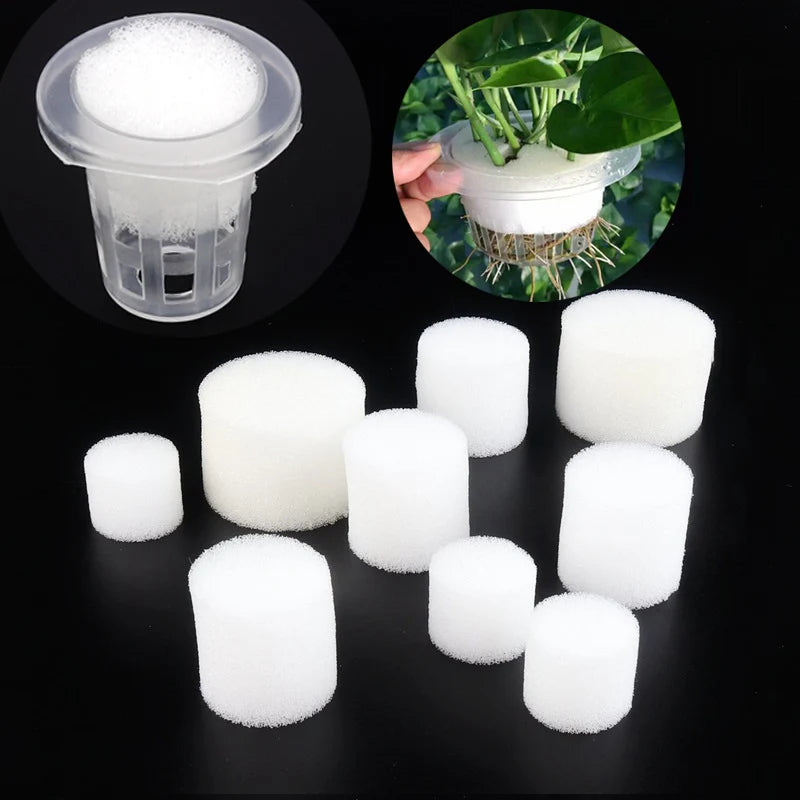 50pcs White Mesh Cup Sponge Garden Vegetable Soilless Cultivation Growing Media Hydroponic Grow System Baskets Planting Sponge