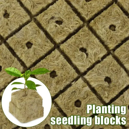 100/50x Stonewool Hydroponic Grow Media Cubes Garden Seedling Block Water Cultivation Seed Sowing Germination Culture Substrate