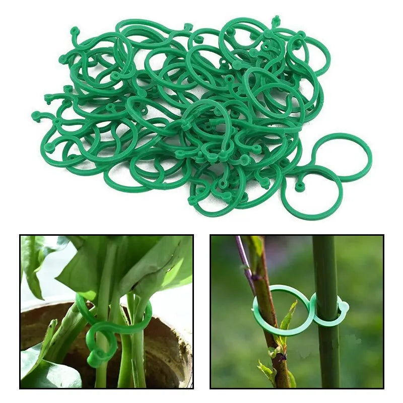 50Pcs 8 Word Buckle Vine Tying Clips Ring Fixing Bracket Garden Plant Holder Tools Garden Decorations Plant Climbing Wall Clips