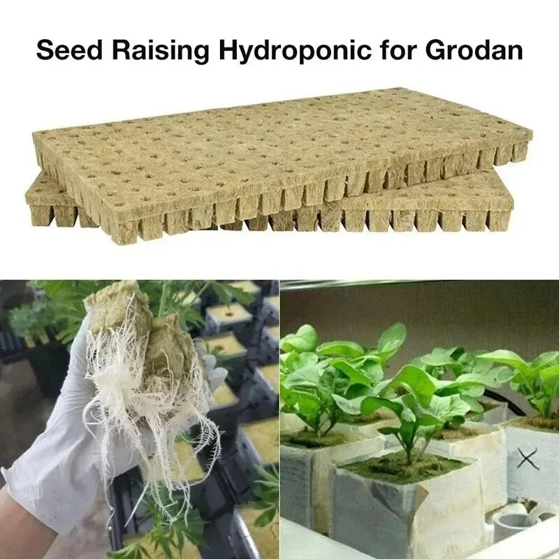 50pcs 25x25x25mm Stonewool Hydroponic Grow Media Cubes Plant Cubes Soilless Substrate Seeded Rock Wool Plug Seedling Block